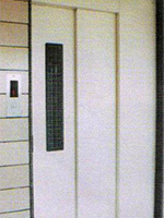 2-fold Telescopic Door